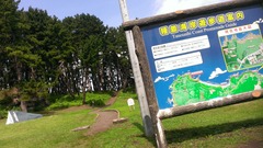 IMAG3488