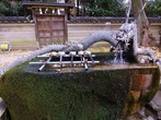 DSC06025