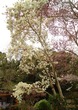 DSC07578