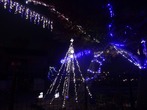 DSC01739