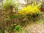 DSC07581