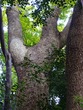 DSC06029