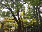 DSC06027