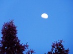 DSC07366
