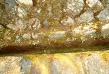 DSC07564
