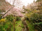 DSC07575
