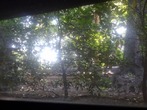 DSC09329