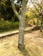DSC07560