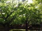 DSC08263