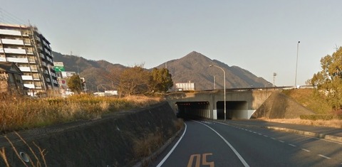 51375122_p0