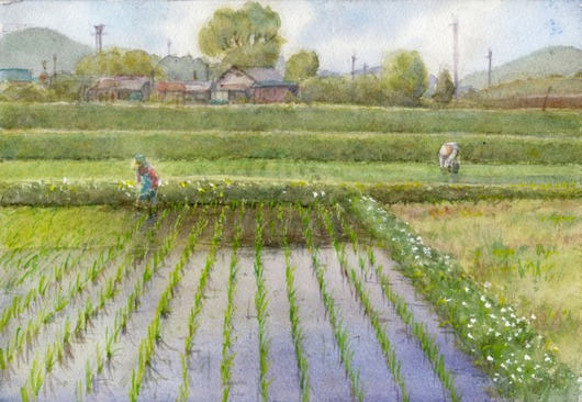 田植え : 夢色彩々―水彩画、スケッチ帳