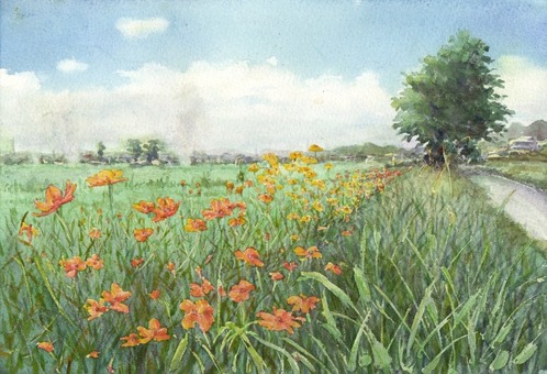 草むらに咲く花 : 夢色彩々―水彩画、スケッチ帳