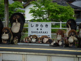 56379a6a.jpg