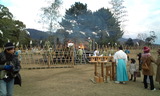 64bef716.jpg