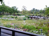 nagoya garden