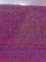 f255d209.jpg