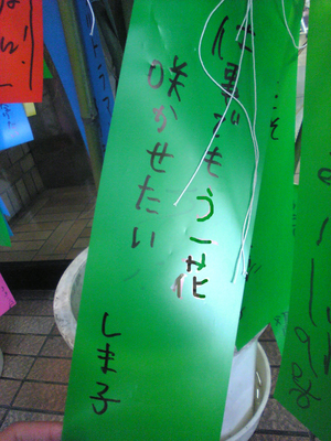 Image3412
