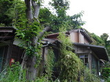 08.05.11_hayama2