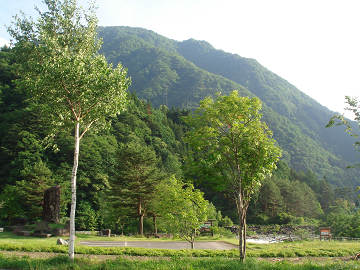 0922f8bd.jpg