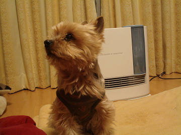 130173b7.jpg