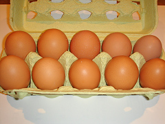 43a7491a.jpg