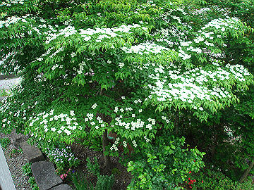 DSC006850002