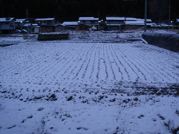 resize0090