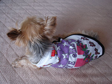 resize0004