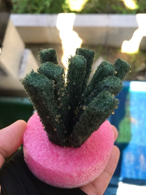 メダカの産卵床