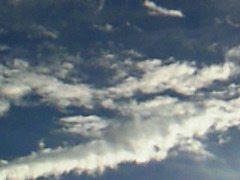 NEC_0140