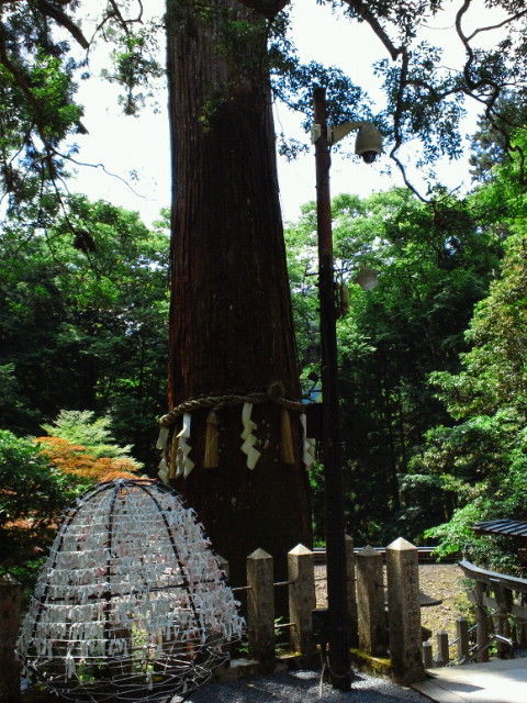 NEC_1004