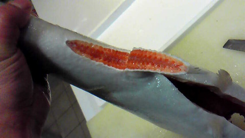 201201080851001
