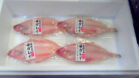 201202111316000