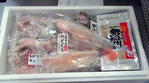201202111322000