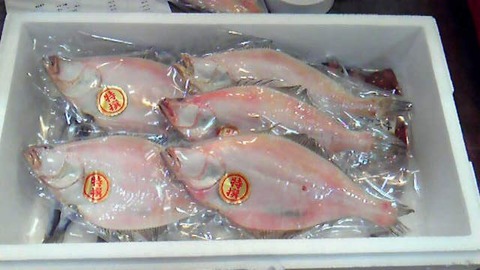 201202101328000