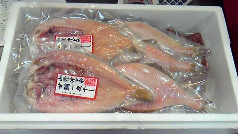 201202101332000