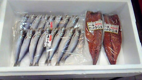 201202101326001