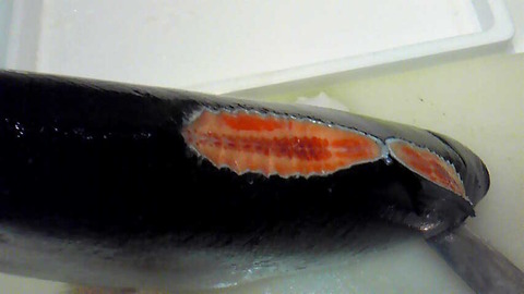 201201080851000