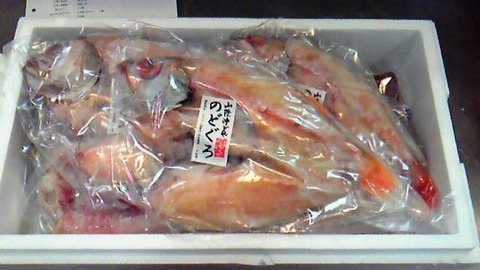 201202101335000
