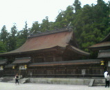 52554d55.jpg