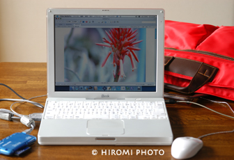 ibook
