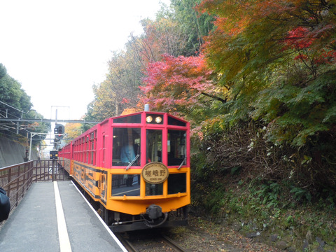 DSCN0819