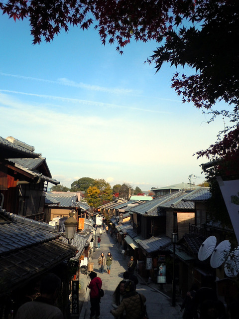 DSCN0931