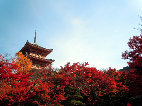 DSCN0918