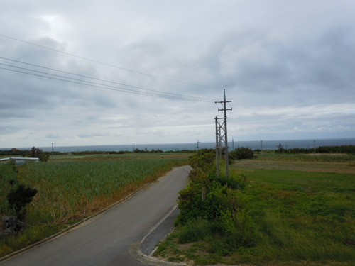 DSCN0076