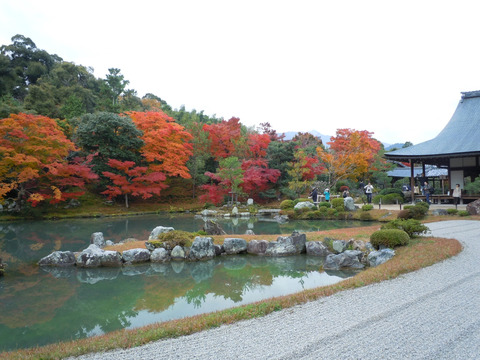 DSCN0803