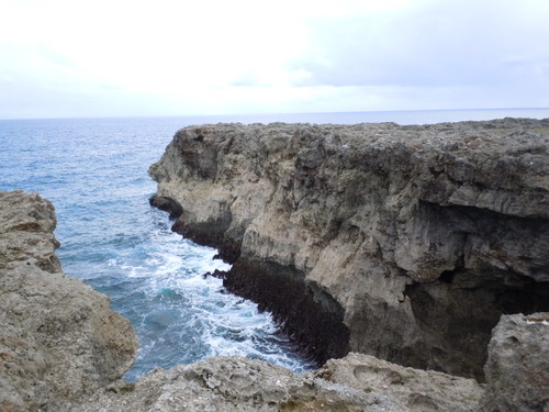 DSCN0043