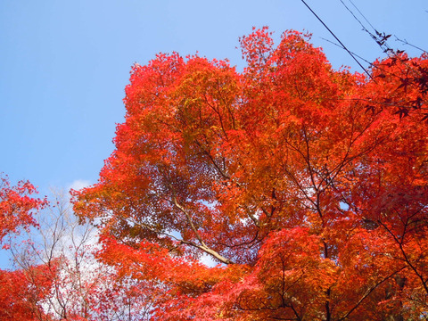 DSCN1048