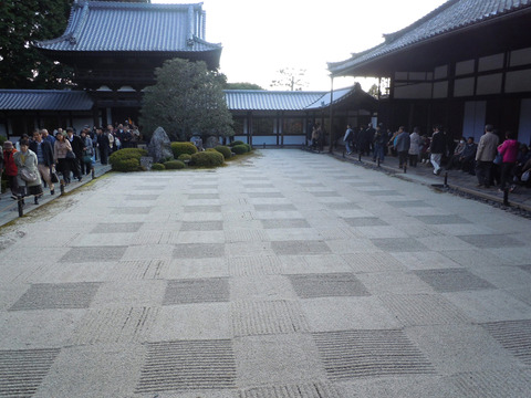 DSCN1079