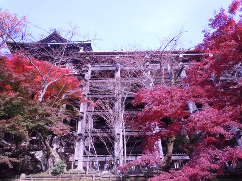 DSCN0911